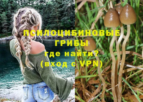 mdma Медвежьегорск