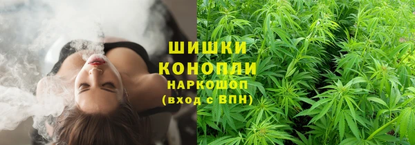 соль ск Мегион