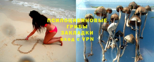 соль ск Мегион