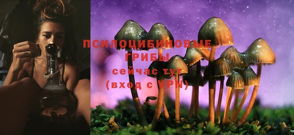 mdma Медвежьегорск