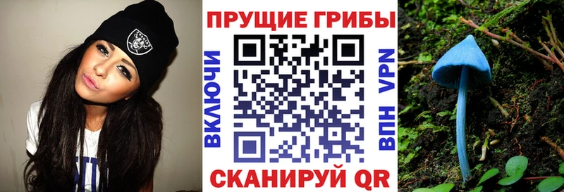 Галлюциногенные грибы ЛСД Купить закладки Луховицы
